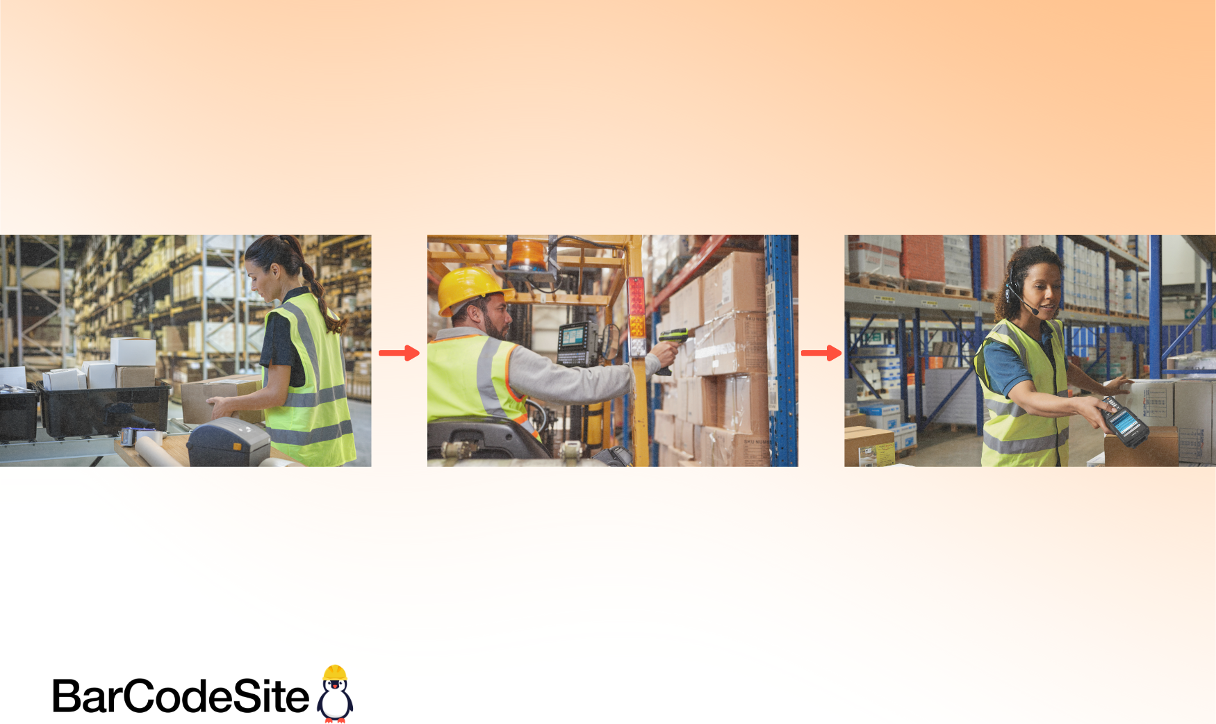 Examples of logistics in a company